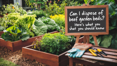 can i dispose of beef stock in garden beds​