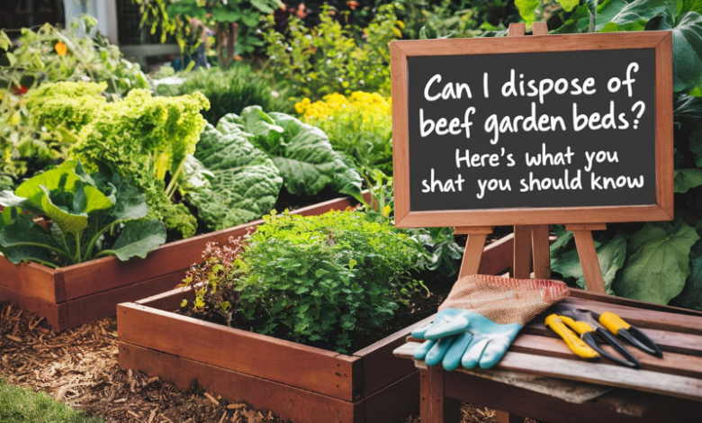 can i dispose of beef stock in garden beds​