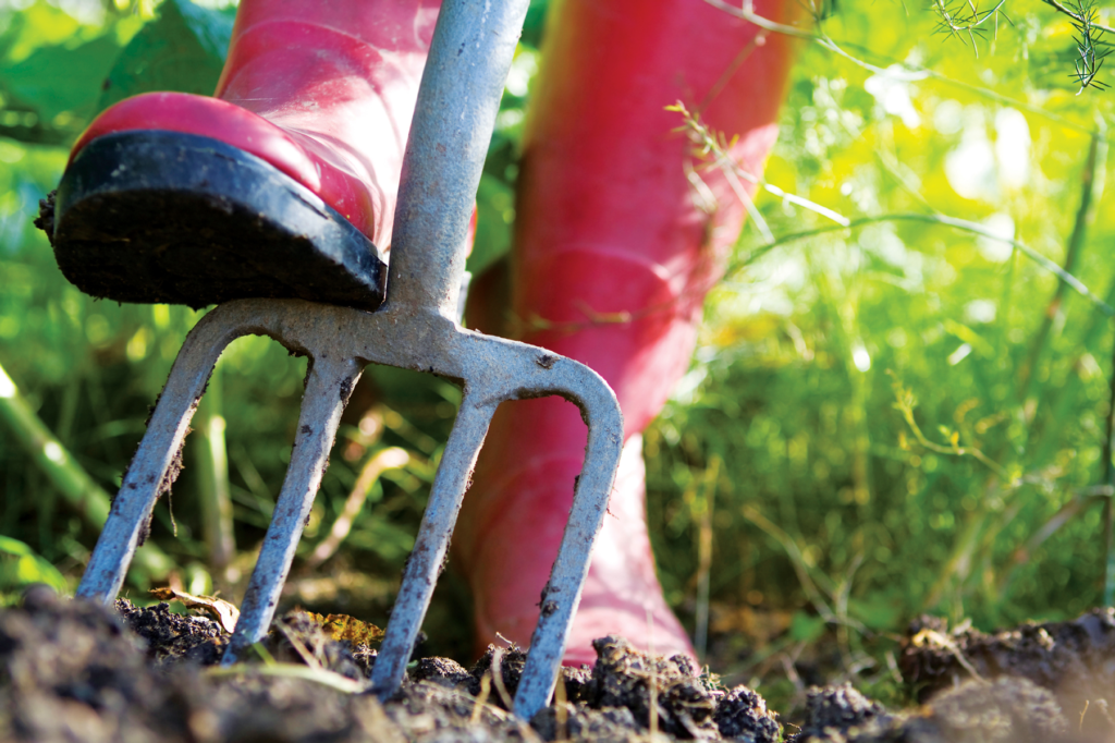 Can I Dispose of Beef Stock in Garden Beds? Here's What You Should Know